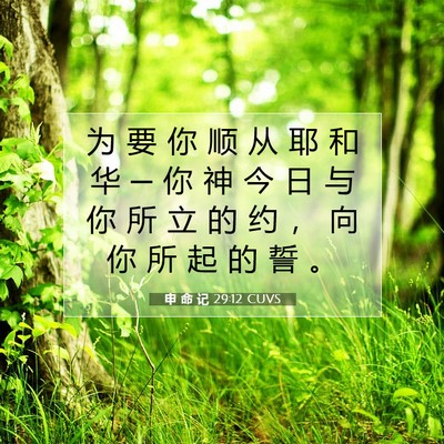 Picture 07 - 申 命 记 29:12 CUVS - 为 要 你 顺 从 耶 和 华 ─ 你 神 今 - Bible Verse Picture