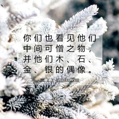 Picture 07 - 申 命 记 29:17 CUVS - 你 们 也 看 见 他 们 中 间 可 憎 之 - Bible Verse Picture