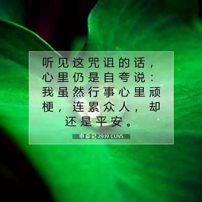 Picture 07 - 申 命 记 29:19 CUVS - 听 见 这 咒 诅 的 话 ， 心 里 仍 是 - Bible Verse Picture
