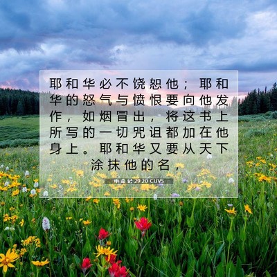 Picture 07 - 申 命 记 29:20 CUVS - 耶 和 华 必 不 饶 恕 他 ； 耶 和 华 - Bible Verse Picture