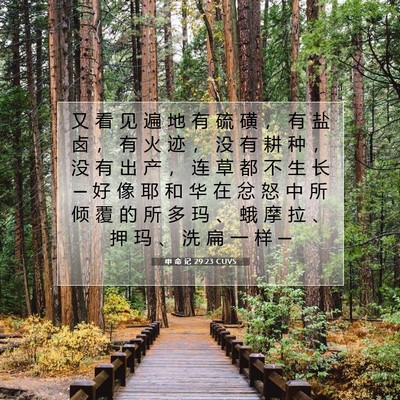 Picture 07 - 申 命 记 29:23 CUVS - 又 看 见 遍 地 有 硫 磺 ， 有 盐 卤 - Bible Verse Picture