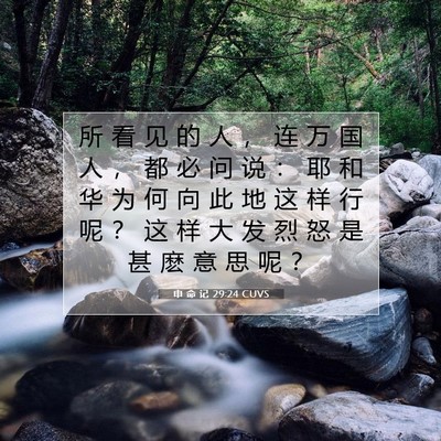 Picture 07 - 申 命 记 29:24 CUVS - 所 看 见 的 人 ， 连 万 国 人 ， 都 - Bible Verse Picture