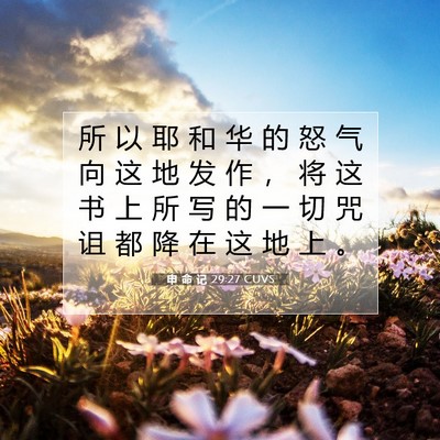 Picture 07 - 申 命 记 29:27 CUVS - 所 以 耶 和 华 的 怒 气 向 这 地 发 - Bible Verse Picture