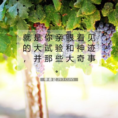 Picture 07 - 申 命 记 29:3 CUVS - 就 是 你 亲 眼 看 见 的 大 试 验 和 - Bible Verse Picture