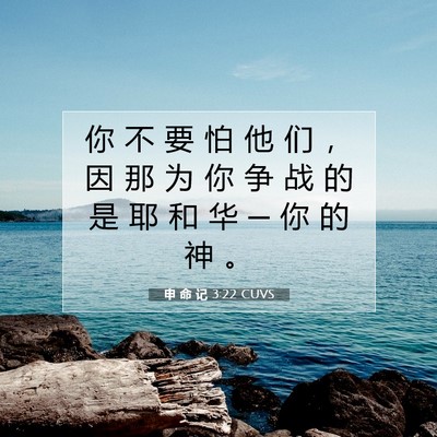 Picture 07 - 申 命 记 3:22 CUVS - 你 不 要 怕 他 们 ， 因 那 为 你 争 - Bible Verse Picture