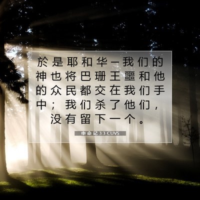 Picture 07 - 申 命 记 3:3 CUVS - 於 是 耶 和 华 ─ 我 们 的 神 也 将 - Bible Verse Picture