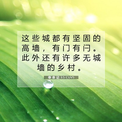 Picture 07 - 申 命 记 3:5 CUVS - 这 些 城 都 有 坚 固 的 高 墙 ， 有 - Bible Verse Picture