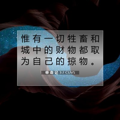 Picture 07 - 申 命 记 3:7 CUVS - 惟 有 一 切 牲 畜 和 城 中 的 财 物 - Bible Verse Picture
