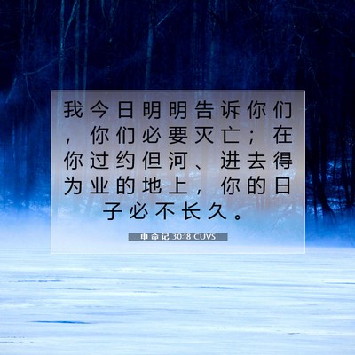 Picture 07 - 申 命 记 30:18 CUVS - 我 今 日 明 明 告 诉 你 们 ， 你 们 - Bible Verse Picture
