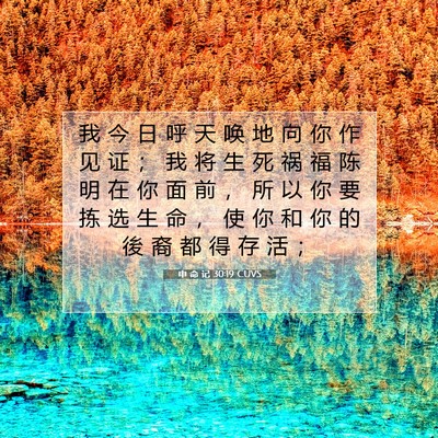 Picture 07 - 申 命 记 30:19 CUVS - 我 今 日 呼 天 唤 地 向 你 作 见 证 - Bible Verse Picture