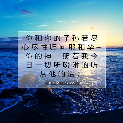 Picture 07 - 申 命 记 30:2 CUVS - 你 和 你 的 子 孙 若 尽 心 尽 性 归 - Bible Verse Picture