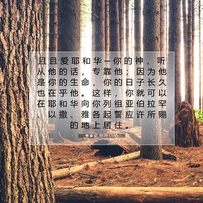 Picture 07 - 申 命 记 30:20 CUVS - 且 且 爱 耶 和 华 ─ 你 的 神 ， 听 - Bible Verse Picture