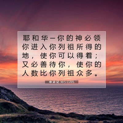 Picture 07 - 申 命 记 30:5 CUVS - 耶 和 华 ─ 你 的 神 必 领 你 进 入 - Bible Verse Picture