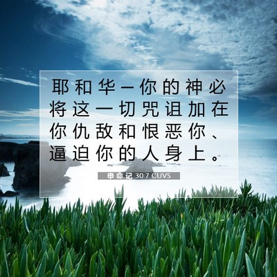 Picture 07 - 申 命 记 30:7 CUVS - 耶 和 华 ─ 你 的 神 必 将 这 一 切 - Bible Verse Picture