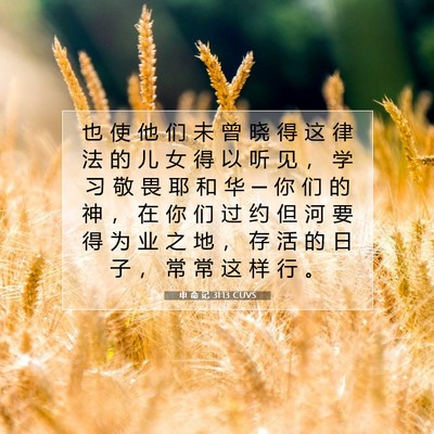 Picture 07 - 申 命 记 31:13 CUVS - 也 使 他 们 未 曾 晓 得 这 律 法 的 - Bible Verse Picture