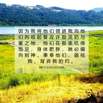 Picture 07 - 申 命 记 31:20 CUVS - 因 为 我 将 他 们 领 进 我 向 他 们 - Bible Verse Picture