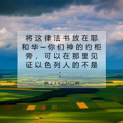 Picture 07 - 申 命 记 31:26 CUVS - 将 这 律 法 书 放 在 耶 和 华 ─ 你 - Bible Verse Picture