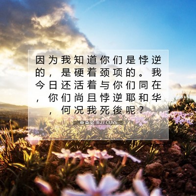 Picture 07 - 申 命 记 31:27 CUVS - 因 为 我 知 道 你 们 是 悖 逆 的 ， - Bible Verse Picture