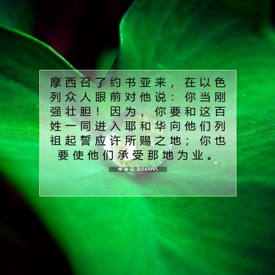 Picture 07 - 申 命 记 31:7 CUVS - 摩 西 召 了 约 书 亚 来 ， 在 以 色 - Bible Verse Picture