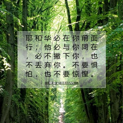 Picture 07 - 申 命 记 31:8 CUVS - 耶 和 华 必 在 你 前 面 行 ； 他 必 - Bible Verse Picture