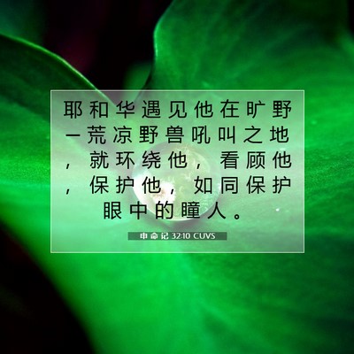 Picture 07 - 申 命 记 32:10 CUVS - 耶 和 华 遇 见 他 在 旷 野 ─ 荒 凉 - Bible Verse Picture
