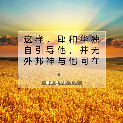 Picture 07 - 申 命 记 32:12 CUVS - 这 样 ， 耶 和 华 独 自 引 导 他 ， - Bible Verse Picture