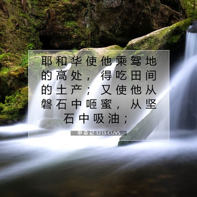 Picture 07 - 申 命 记 32:13 CUVS - 耶 和 华 使 他 乘 驾 地 的 高 处 ， - Bible Verse Picture