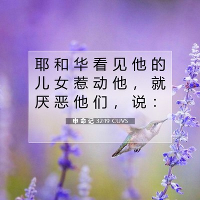 Picture 07 - 申 命 记 32:19 CUVS - 耶 和 华 看 见 他 的 儿 女 惹 动 他 - Bible Verse Picture