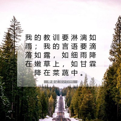 Picture 07 - 申 命 记 32:2 CUVS - 我 的 教 训 要 淋 漓 如 雨 ； 我 的 - Bible Verse Picture