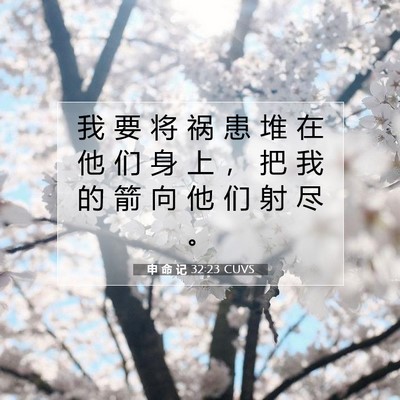 Picture 07 - 申 命 记 32:23 CUVS - 我 要 将 祸 患 堆 在 他 们 身 上 ， - Bible Verse Picture