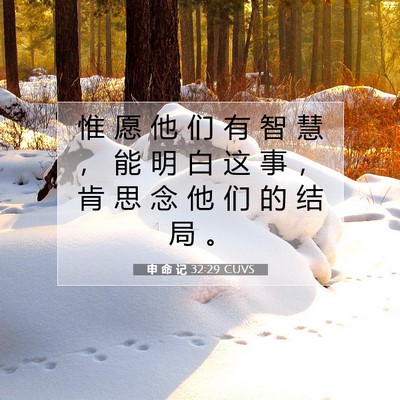 Picture 07 - 申 命 记 32:29 CUVS - 惟 愿 他 们 有 智 慧 ， 能 明 白 这 - Bible Verse Picture