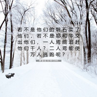 Picture 07 - 申 命 记 32:30 CUVS - 若 不 是 他 们 的 磐 石 卖 了 他 们 - Bible Verse Picture