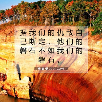 Picture 07 - 申 命 记 32:31 CUVS - 据 我 们 的 仇 敌 自 己 断 定 ， 他 - Bible Verse Picture