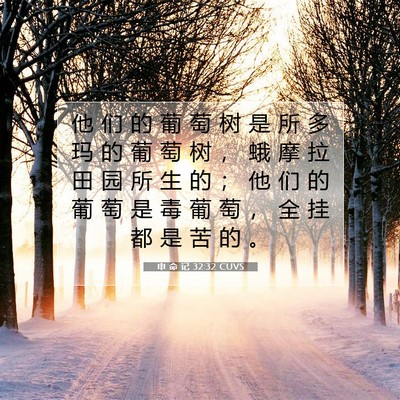 Picture 07 - 申 命 记 32:32 CUVS - 他 们 的 葡 萄 树 是 所 多 玛 的 葡 - Bible Verse Picture