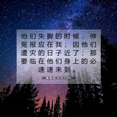 Picture 07 - 申 命 记 32:35 CUVS - 他 们 失 脚 的 时 候 ， 伸 冤 报 应 - Bible Verse Picture