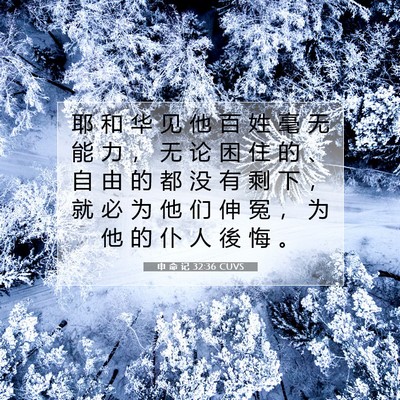 Picture 07 - 申 命 记 32:36 CUVS - 耶 和 华 见 他 百 姓 毫 无 能 力 ， - Bible Verse Picture