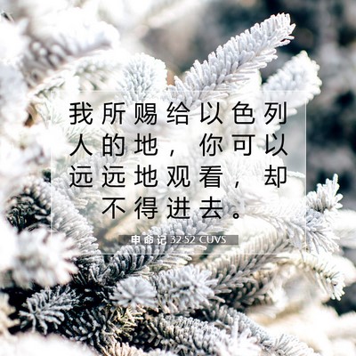 Picture 07 - 申 命 记 32:52 CUVS - 我 所 赐 给 以 色 列 人 的 地 ， 你 - Bible Verse Picture