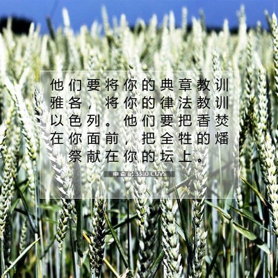 Picture 07 - 申 命 记 33:10 CUVS - 他 们 要 将 你 的 典 章 教 训 雅 各 - Bible Verse Picture