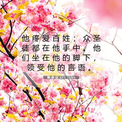 Picture 07 - 申 命 记 33:3 CUVS - 他 疼 爱 百 姓 ； 众 圣 徒 都 在 他 - Bible Verse Picture