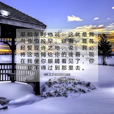 Picture 07 - 申 命 记 34:4 CUVS - 耶 和 华 对 他 说 ： 这 就 是 我 向 - Bible Verse Picture