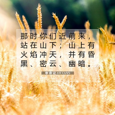 Picture 07 - 申 命 记 4:11 CUVS - 那 时 你 们 近 前 来 ， 站 在 山 下 - Bible Verse Picture