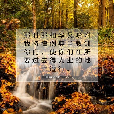 Picture 07 - 申 命 记 4:14 CUVS - 那 时 耶 和 华 又 吩 咐 我 将 律 例 - Bible Verse Picture