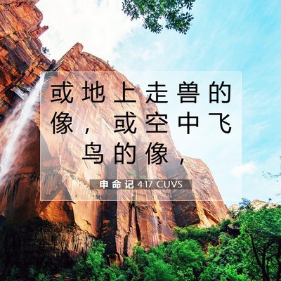 Picture 07 - 申 命 记 4:17 CUVS - 或 地 上 走 兽 的 像 ， 或 空 中 飞 - Bible Verse Picture