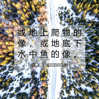 Picture 07 - 申 命 记 4:18 CUVS - 或 地 上 爬 物 的 像 ， 或 地 底 下 - Bible Verse Picture