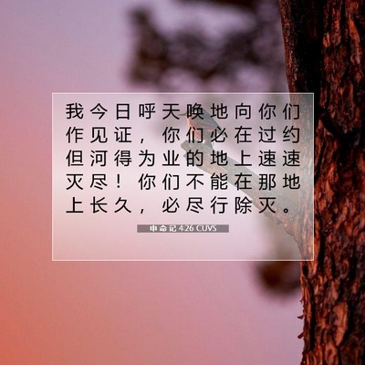 Picture 07 - 申 命 记 4:26 CUVS - 我 今 日 呼 天 唤 地 向 你 们 作 见 - Bible Verse Picture