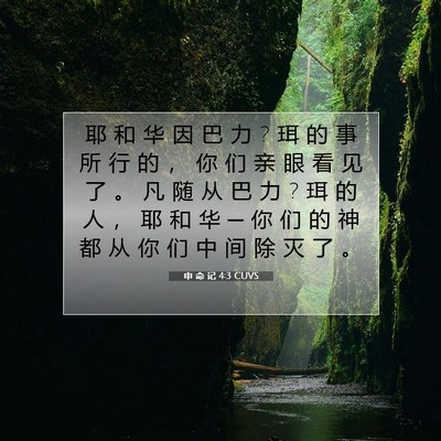 Picture 07 - 申 命 记 4:3 CUVS - 耶 和 华 因 巴 力 ? 珥 的 事 所 行 的 - Bible Verse Picture