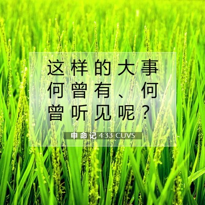 Picture 07 - 申 命 记 4:33 CUVS - 这 样 的 大 事 何 曾 有 、 何 曾 听 - Bible Verse Picture