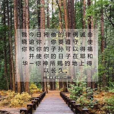 Picture 07 - 申 命 记 4:40 CUVS - 我 今 日 将 他 的 律 例 诫 命 晓 谕 - Bible Verse Picture