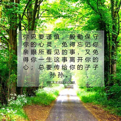 Picture 07 - 申 命 记 4:9 CUVS - 你 只 要 谨 慎 ， 殷 勤 保 守 你 的 - Bible Verse Picture