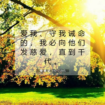 Picture 07 - 申 命 记 5:10 CUVS - 爱 我 、 守 我 诫 命 的 ， 我 必 向 - Bible Verse Picture